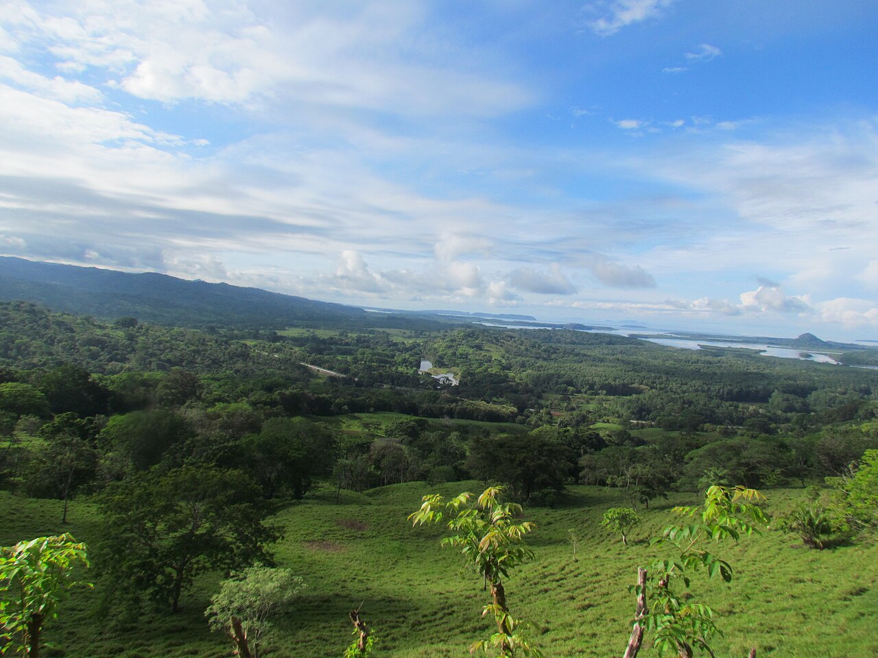 Panama sets boundaries for Chiriquí mangrove conservation area